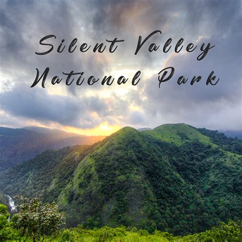 Silent Valley National Park Kerala Photography By Pratap J