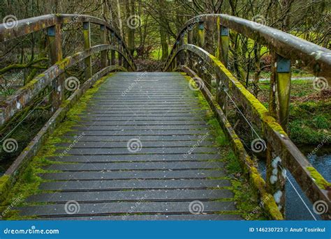 Wooden Bridge Over Creek In Lake District Stock Image Image Of