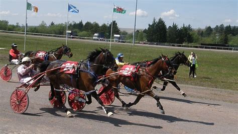 Excitement As Wales And Border Counties Harness Racing Season Starts Cambrian Uk