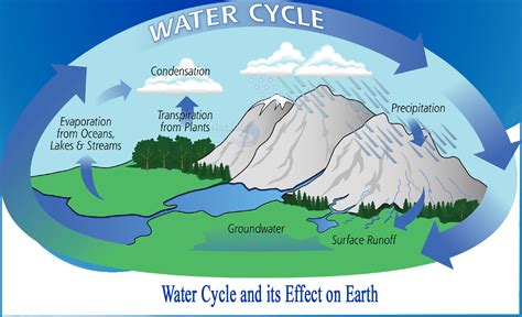 What Is Water Cycle And What Its Effect On Earth Netsol Water
