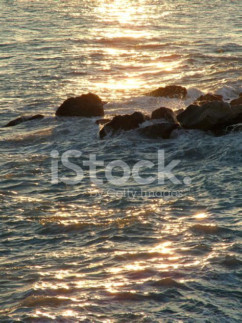 Sea And Rocks Sunset Golden Glow Stock Photo Royalty Free Freeimages