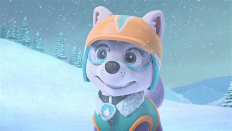 Paw Patrol The Great Snow Rescue The Dvd Guide