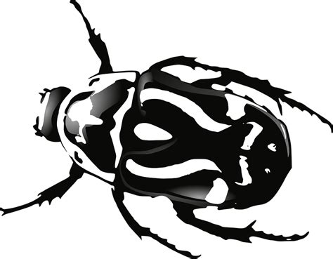 Download Beetle Bug Black Royalty Free Vector Graphic Pixabay