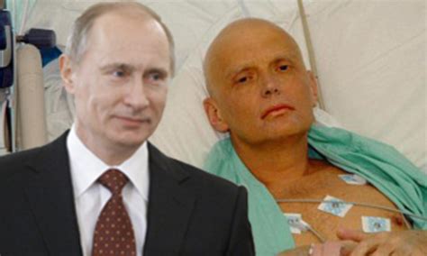 Wikileaks Putin Probably Knew About Alexander Litvinenko Poisoning Daily Mail Online