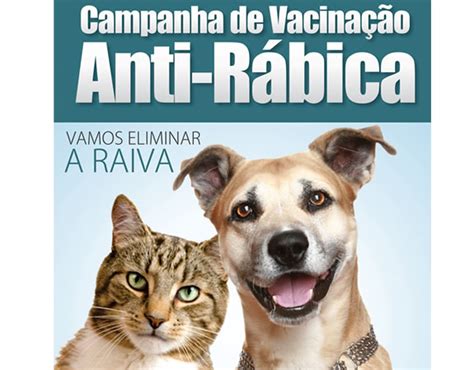 Quais vacinas meu cachorro precisa tomar? Esclarecimento Campanha de Vacinação Animal contra a Raiva ...