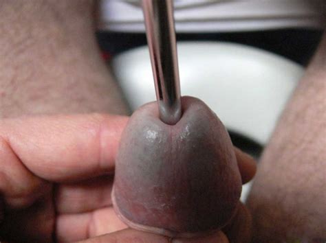 Urethra Piercing Cumception
