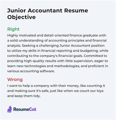 Top 16 Junior Accountant Resume Objective Examples