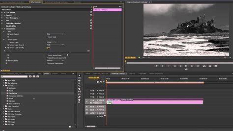 Adobe Premiere Transition Black And White To Color Sushistashok