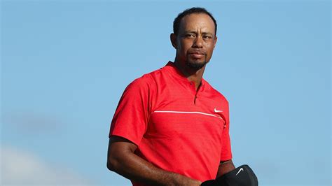 tiger woods receiving professional help to manage medications following suspicion of dui arrest