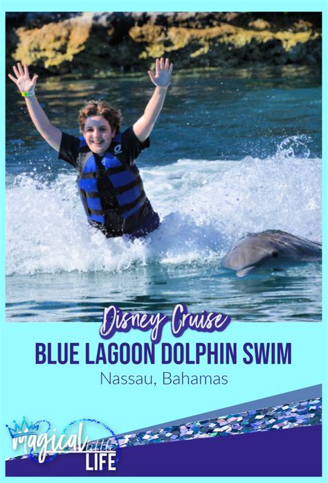 Best Dolphin Swim Excursion You Will Find Bahamas Island Blue Lagoon