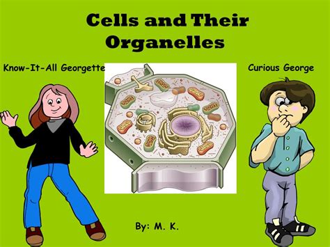 Ppt Cells And Their Organelles Powerpoint Presentation Free Download