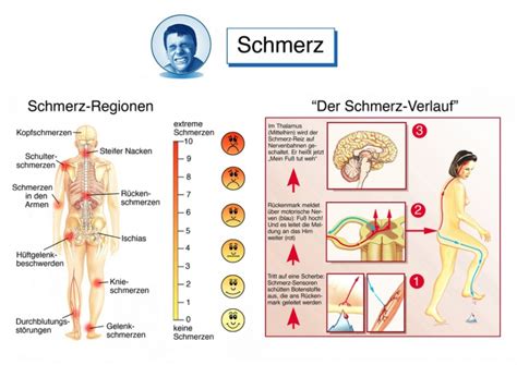 Sie sind komplett seitlich am fuß, genau da wo seitlich das fußgewölbe ist und hören noch vor dem. Beinschmerzen - Ursachen, Behandlung & Hilfe | MedLexi.de