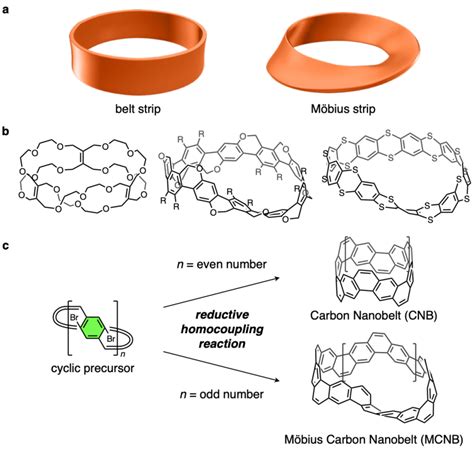 Representative Möbius Strip Molecules A Belt Left And Möbius Type Download Scientific