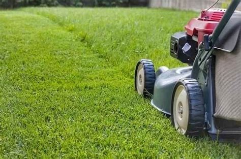 Grass Cutting And Grounds Maintenance Works Ore Valley Housing