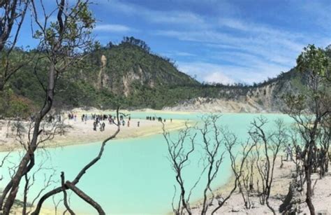 Fakta Menarik Tentang Wisata Kawah Putih Di Bandung Jawa Barat Page All