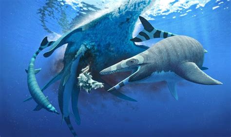Dinosaur Era Sea Lizard Had Teeth Like A Shark