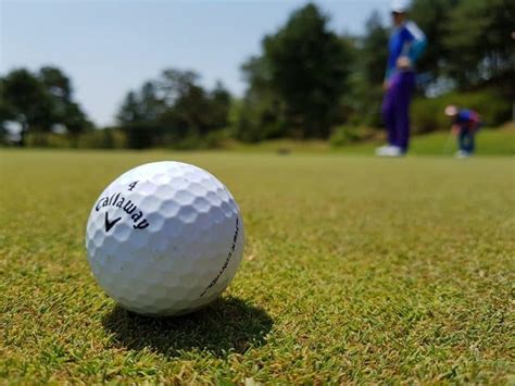 Female Amateur Golfer Hit Three Holes In One Infive Hours