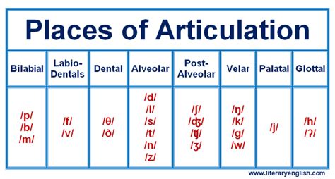 Place Of Articulation Articulatory Gestures Literary English