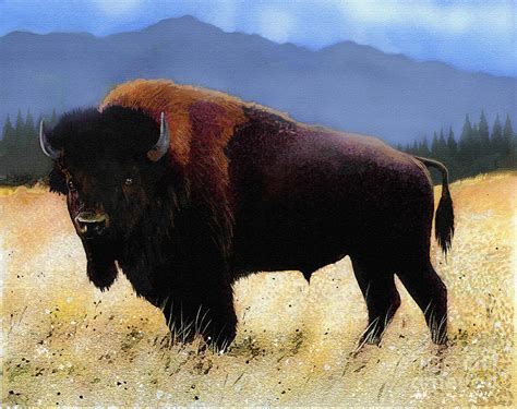 Big Bison Painting By Robert Foster Pixels