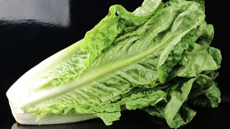 Romaine Lettuce 10 Health Benefits Of Romaine Lettuce