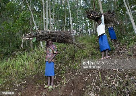 Cyamudongo Photos And Premium High Res Pictures Getty Images