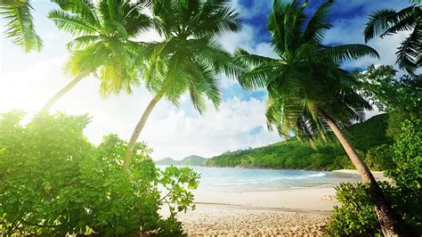 Hd Wallpaper Hawaiian Beach Trees Palm Coast Ocean Waves Sandy Beach Tropical Sun Blue Sky 4k