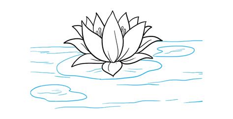 How To Draw A Water Lily Flower Step By Step Drawing Calla Lily Step