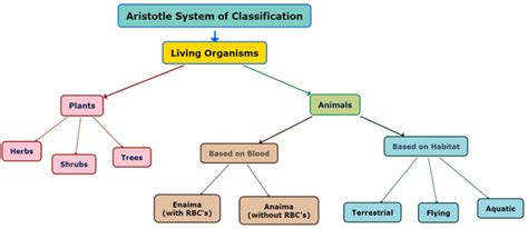 Top 179 Aristotle Classified Animals