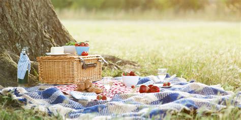 4th Of July Picnic Wallpapers Wallpaper Cave