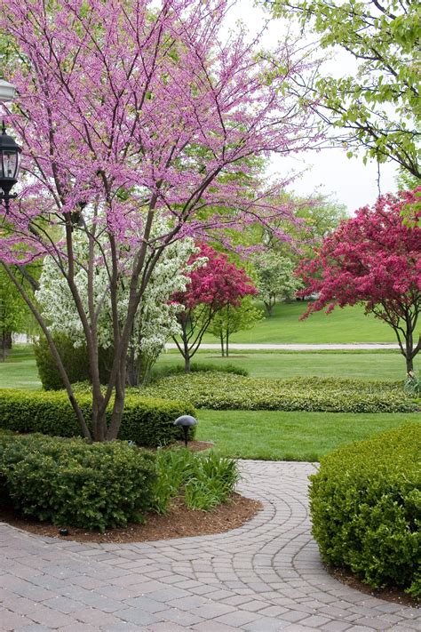 A Brick Walkway Leads Through A Garden With Flowering Trees