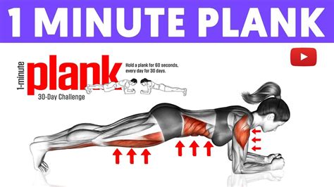 What Will Happen If You Plank Every Day For 1 Minute L 1 Minute Plank