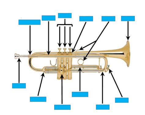 Trumpet Anatomy Quiz By Biggs