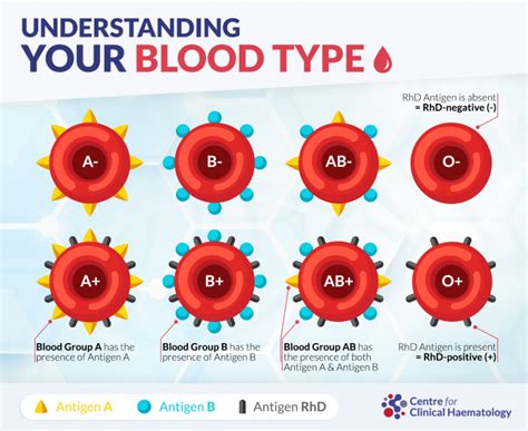 All About Blood Donation Cfch Centre For Clinical Haematology