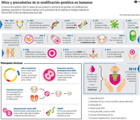 InfografÍa Hitos Y Precedentes De La Modificación Genética En Humanos