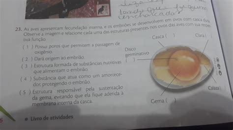 Em Animais Que Se Reproduzem Com Fecundação Interna