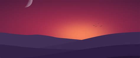 2560x1080 Birds Flying Towards Sunset Landscape Minimalist 4k 2560x1080