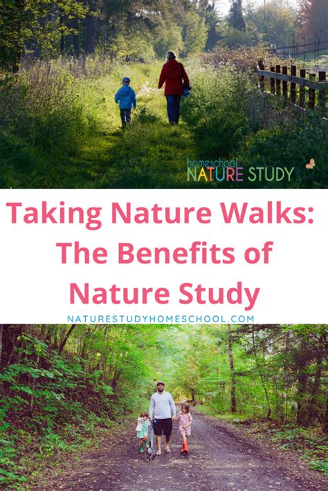 Homeschool Nature Walks The Benefits Of Nature Study Homeschool