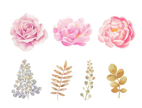 All images is transparent background and free download. Watercolor Flowers PNG Transparent Background | PNG Mart