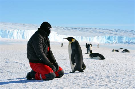 Guy Who Belives He Bacme A Penguin He Became A Member Of Parliament