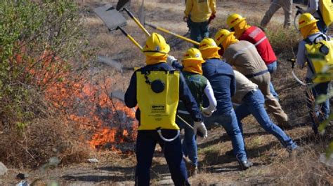 Gobierno presenta campaña para la prevención de incendios forestales a