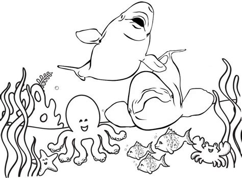 Toddler printable coloring pages are a fun way for kids of all ages to develop creativity, focus, motor skills and color recognition. best beluga whale coloring page