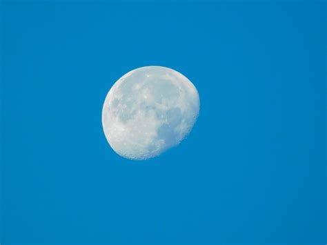 Fotos Gratis Ligero Atmósfera Brillo Luna Llena Luz De La Luna