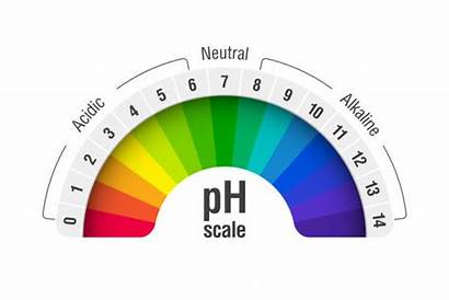 Ph Test Brain Acid Value Scale Chart