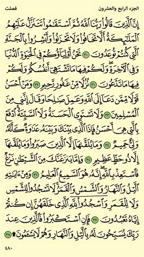 ٣٠ ٣٨ فصلت إن الذين قالوا ربنا الله ثم استقاموا Holy Quran Book