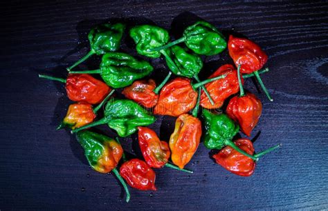 Red Hot Chilli Pepper Habanero Red Caribbean Stock Photo Image Of