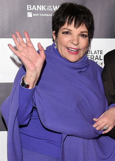 Liza Minnelli Denies Claims She Reached Out To Harry New Idea Magazine