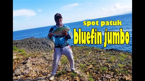 Desa dalam jaringan kabupaten tulungagung. Spot Mancing Tulungagung - Hobi Mancing