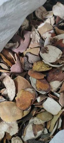 Organic Dried Orange Peel Packaging Type Loose At Rs 65kg In New Delhi