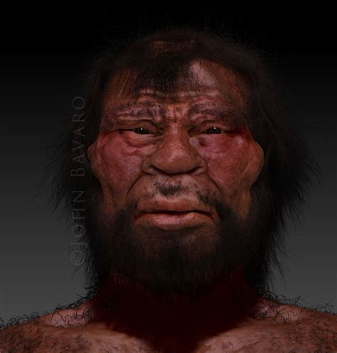 Denisovans Human Evolution History Museum Natural History Museum