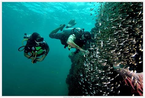 Scuba Diving With Go Dive Lanta Ko Lanta Krabi Thailand Dive
